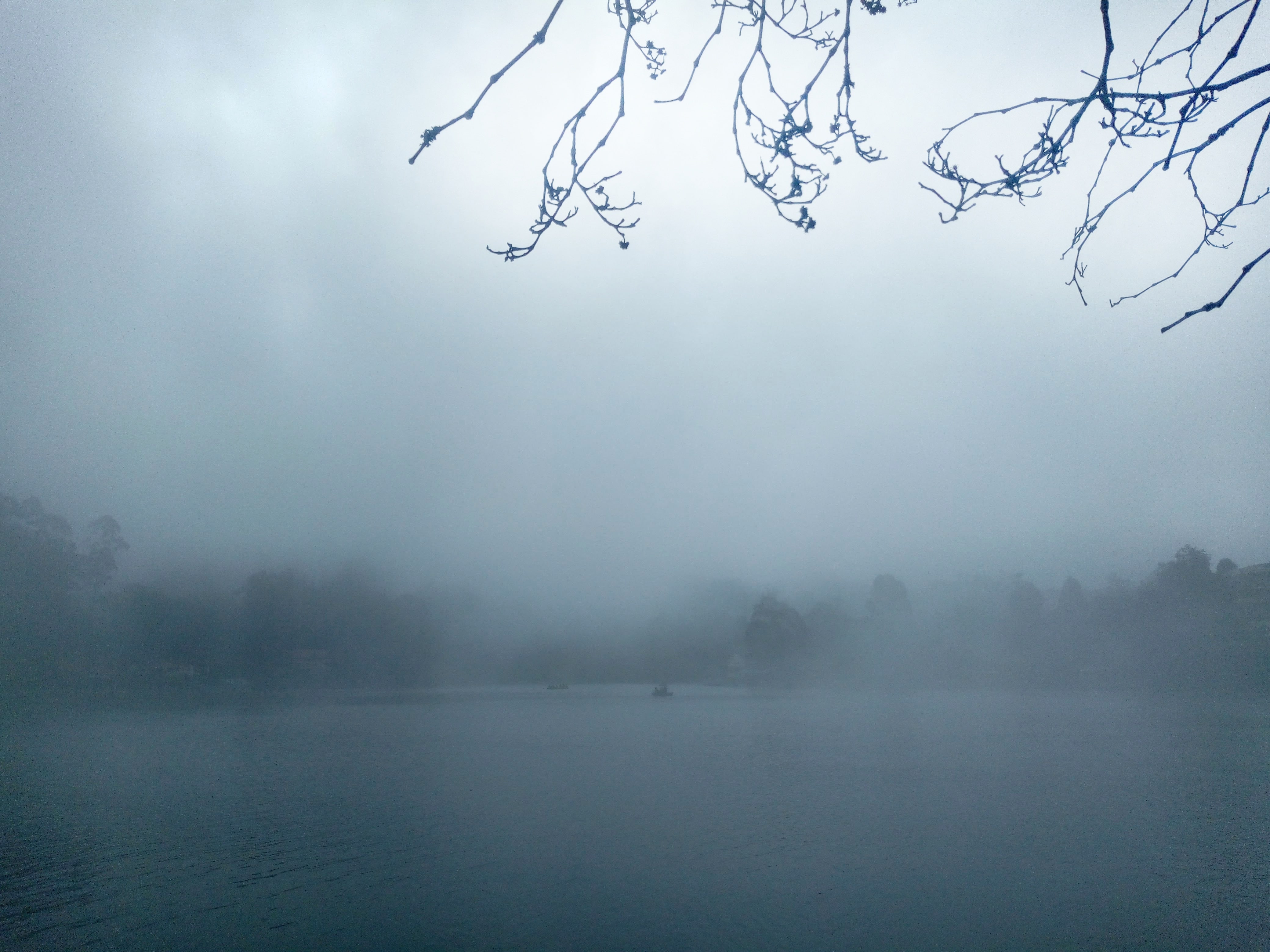 Kodaikanal lake-min